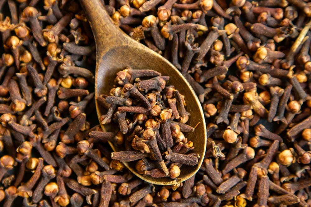 Clavo-de-olor-especia-Propolmel