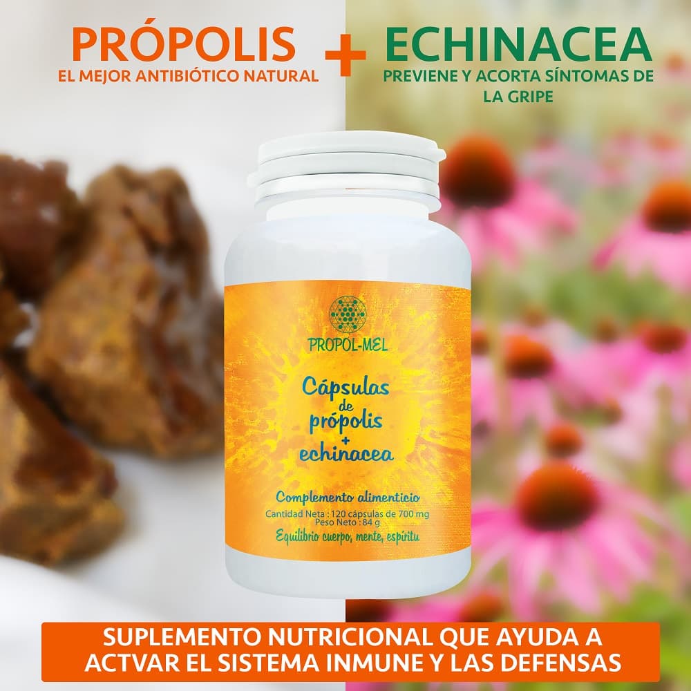 Cápsulas-de-própolis-echinacea-Propol-Mel