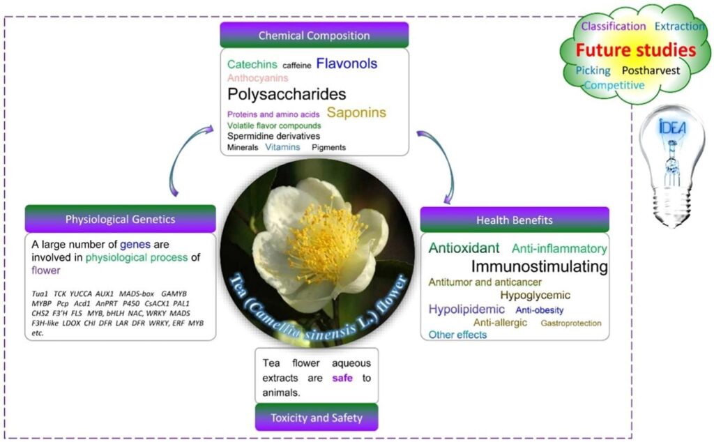 Imagen-flor-del-te_Elsevier