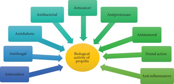 Actividades-bio-propoleo_Wiley